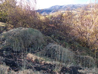 llone monte Zappinazzo-04-11-2012 10-07-13